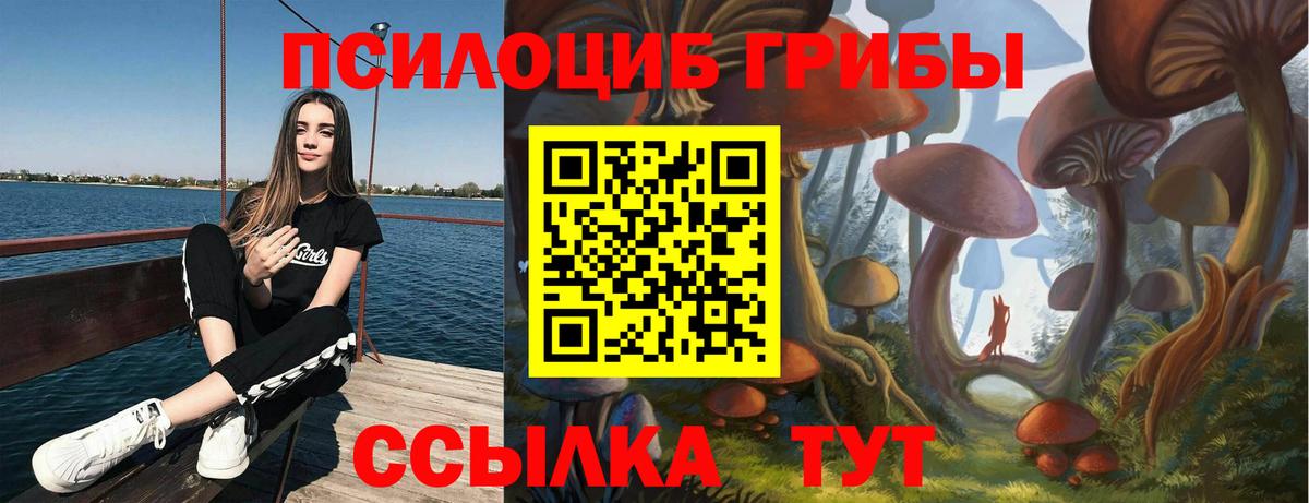 Троицк  Галлюциногенные грибы Cubensis  Псилоцибиновые грибы Psilocybe  Вход с VPN 