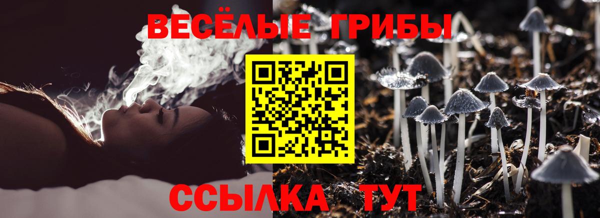 Псилоцибиновые грибы Magic Shrooms Троицк